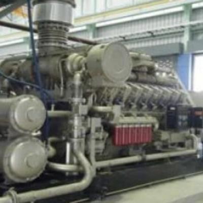 Grupos electrógenos de biogás de 5 × 1000kW de Tailandia